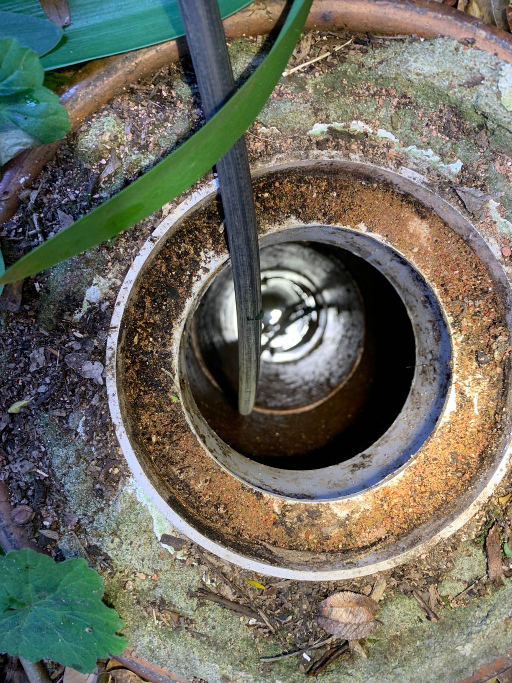 Clearing out blocked drains in Sydney is one of our specialty plumbing services.