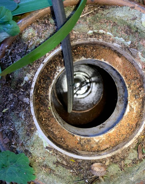 Clearing out blocked drains in Sydney is one of our specialty plumbing services.
