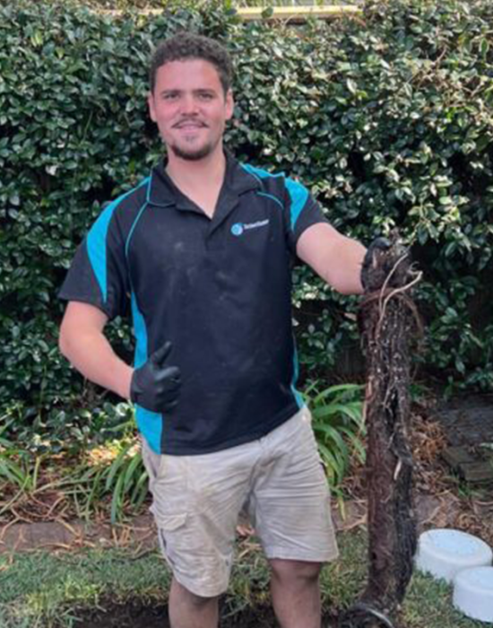 BLOCKED DRAINS - SERVICES WIDE